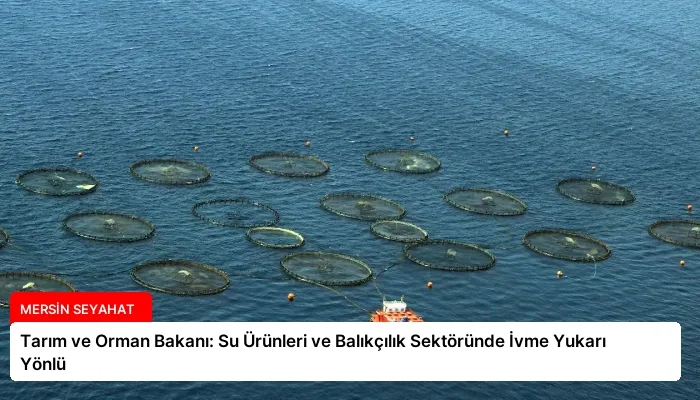 Tarım ve Orman Bakanı: Su Ürünleri ve Balıkçılık Sektöründe İvme Yukarı Yönlü