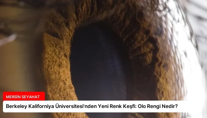 Berkeley Kaliforniya Üniversitesi’nden Yeni Renk Keşfi: Olo Rengi Nedir?
