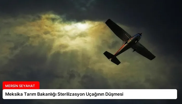 Meksika Tarım Bakanlığı Sterilizasyon Uçağının Düşmesi
