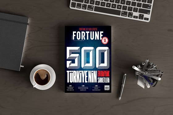 2024’te Fortune 500 şirketlerinin satış geliri yüzde 35,6 yükseldi
