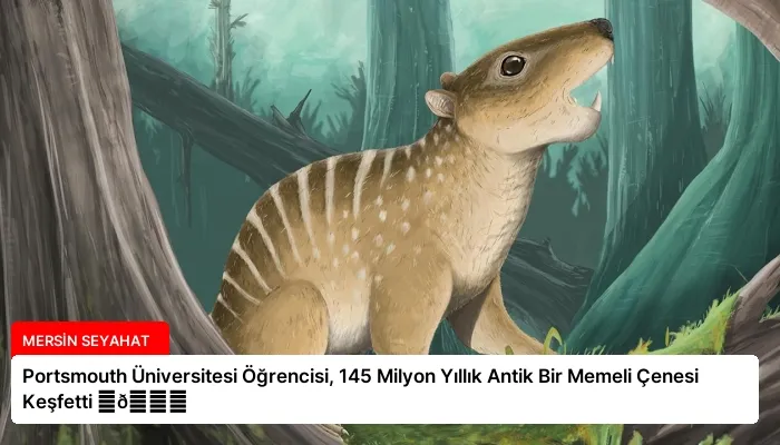 Portsmouth Üniversitesi Öğrencisi, 145 Milyon Yıllık Antik Bir Memeli Çenesi Keşfetti ⏬👇