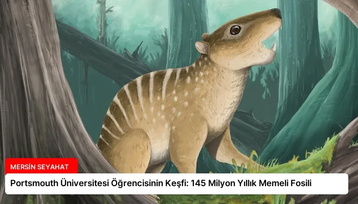 Portsmouth Üniversitesi Öğrencisinin Keşfi: 145 Milyon Yıllık Memeli Fosili