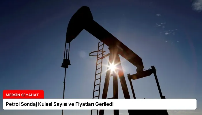 Petrol Sondaj Kulesi Sayısı ve Fiyatları Geriledi