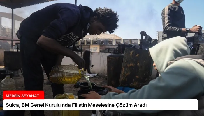 Suica, BM Genel Kurulu’nda Filistin Meselesine Çözüm Aradı