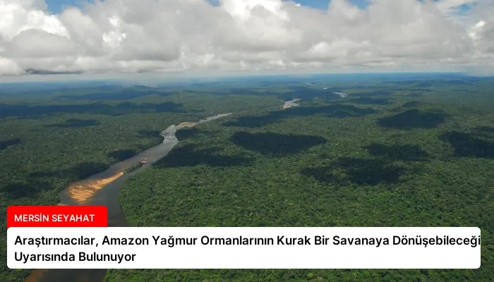 Araştırmacılar, Amazon Yağmur Ormanlarının Kurak Bir Savanaya Dönüşebileceği Uyarısında Bulunuyor