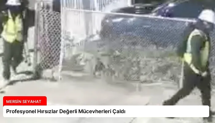 Profesyonel Hırsızlar Değerli Mücevherleri Çaldı