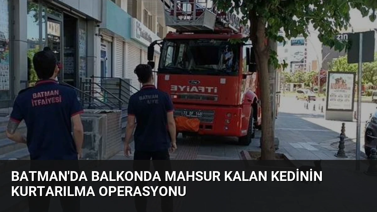 Batman’da Balkonda Mahsur Kalan Kedinin Kurtarılma Operasyonu