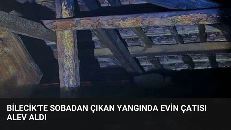 Bilecik’te Sobadan Çıkan Yangında Evin Çatısı Alev Aldı