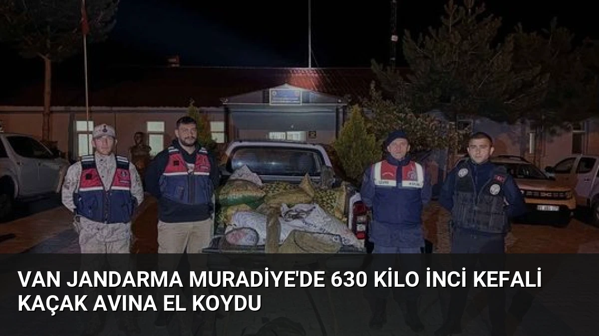 Van Jandarma Muradiye’de 630 Kilo İnci Kefali Kaçak Avına El Koydu