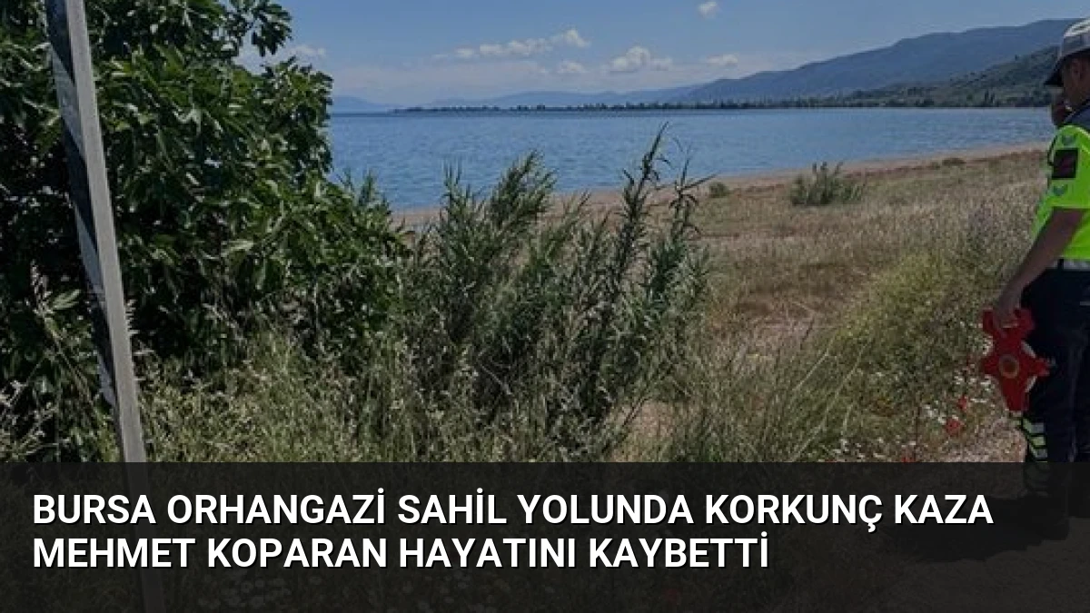 Bursa Orhangazi Sahil Yolunda Korkunç Kaza Mehmet Koparan Hayatını Kaybetti
