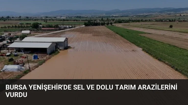 Bursa Yenişehir’de Sel ve Dolu Tarım Arazilerini Vurdu