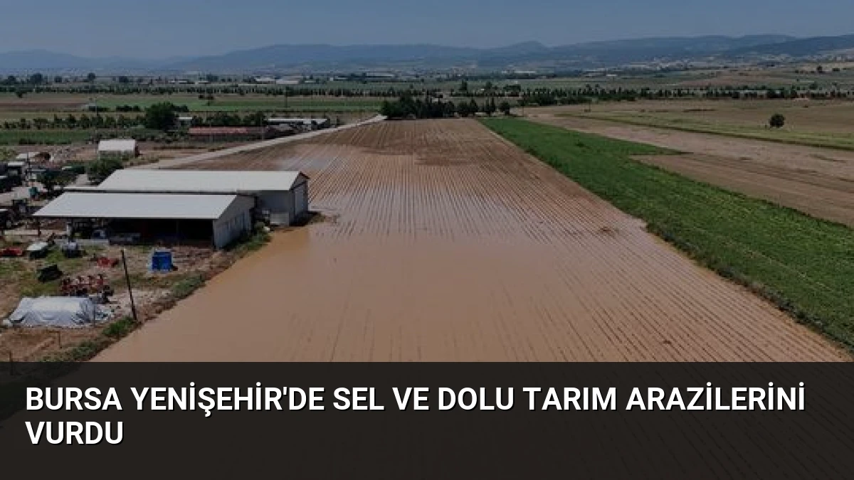 Bursa Yenişehir’de Sel ve Dolu Tarım Arazilerini Vurdu