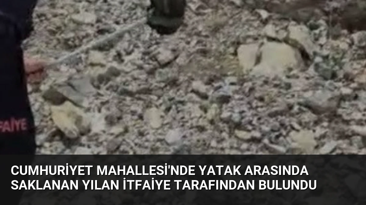 Cumhuriyet Mahallesi’nde Yatak Arasında Saklanan Yılan İtfaiye Tarafından Bulundu