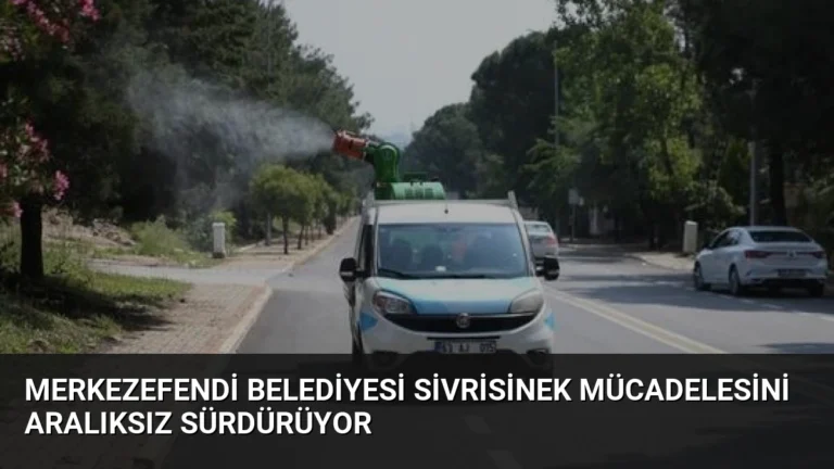 Merkezefendi Belediyesi Sivrisinek Mücadelesini Aralıksız Sürdürüyor