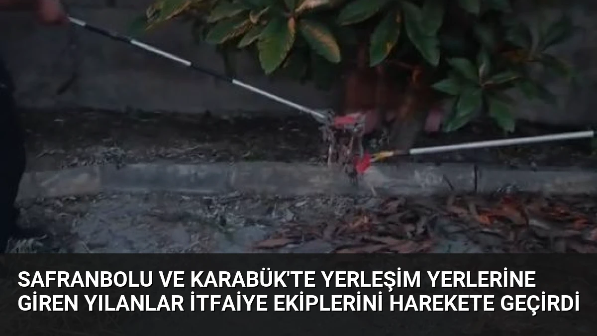 Safranbolu ve Karabük’te Yerleşim Yerlerine Giren Yılanlar İtfaiye Ekiplerini Harekete Geçirdi