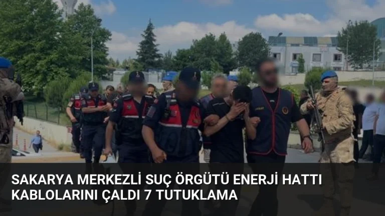 Sakarya merkezli suç örgütü enerji hattı kablolarını çaldı 7 tutuklama