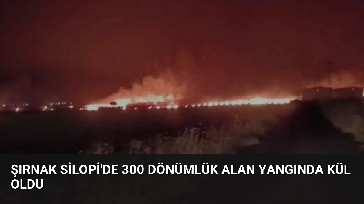 Şırnak Silopi’de 300 Dönümlük Alan Yangında Kül Oldu