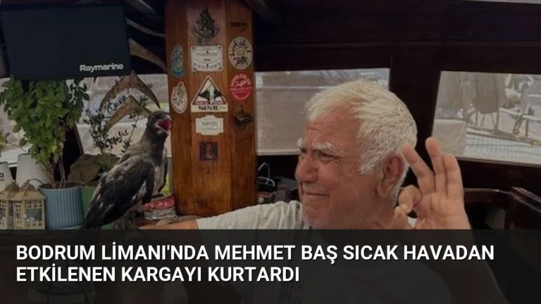 Bodrum Limanı’nda Mehmet Baş Sıcak Havadan Etkilenen Kargayı Kurtardı