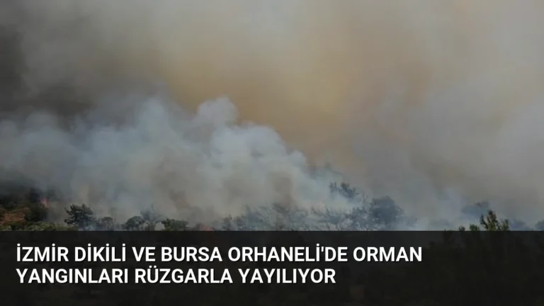 İzmir Dikili ve Bursa Orhaneli’de orman yangınları rüzgarla yayılıyor