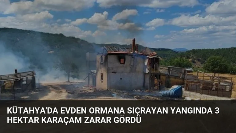 Kütahya’da Evden Ormana Sıçrayan Yangında 3 Hektar Karaçam Zarar Gördü