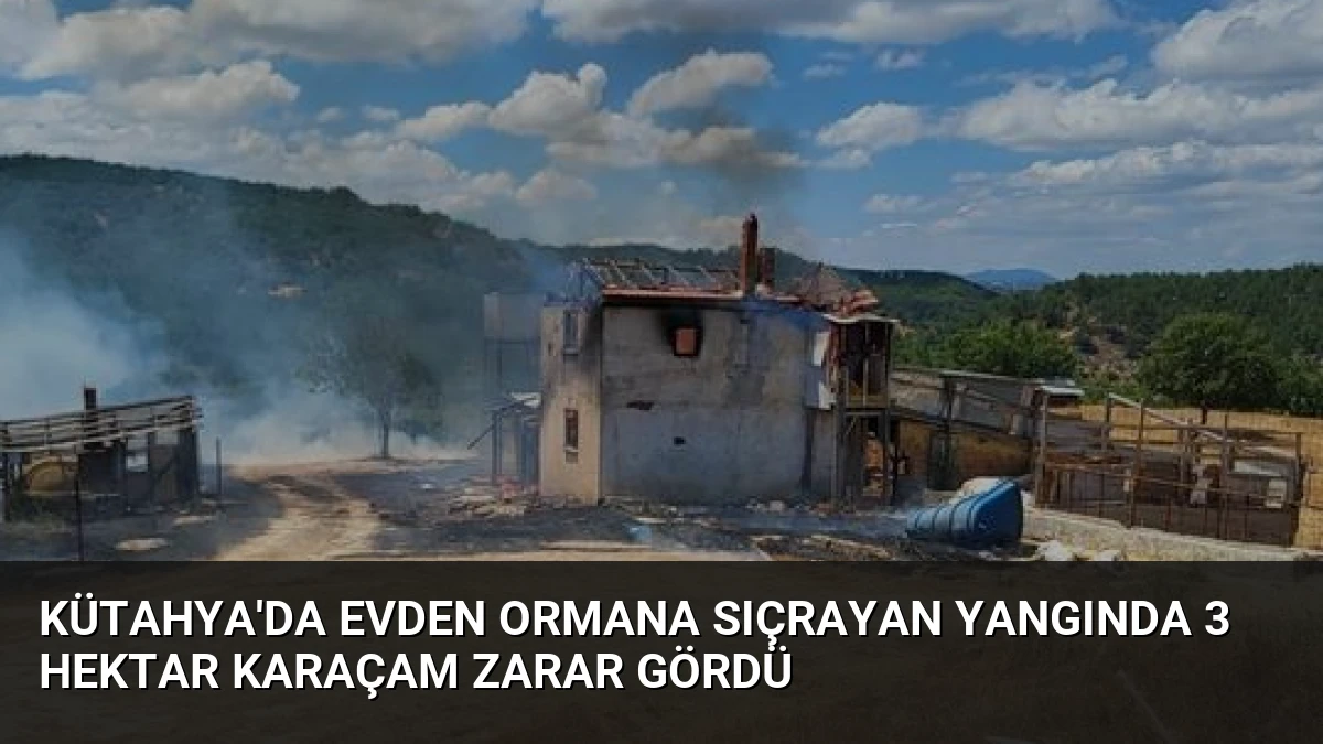 Kütahya’da Evden Ormana Sıçrayan Yangında 3 Hektar Karaçam Zarar Gördü