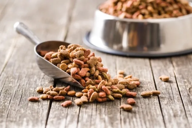 Yeni yapilan 31 bilimsel araştırmaya göre, Vegan Köpek Maması ve Vegan Kedi Mamasının İyi Sindirildiğini Ortaya Koydu