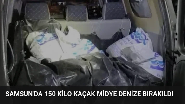 Samsun’da 150 Kilo Kaçak Midye Denize Bırakıldı
