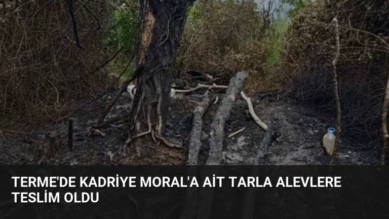 Terme’de Kadriye Moral’a Ait Tarla Alevlere Teslim Oldu