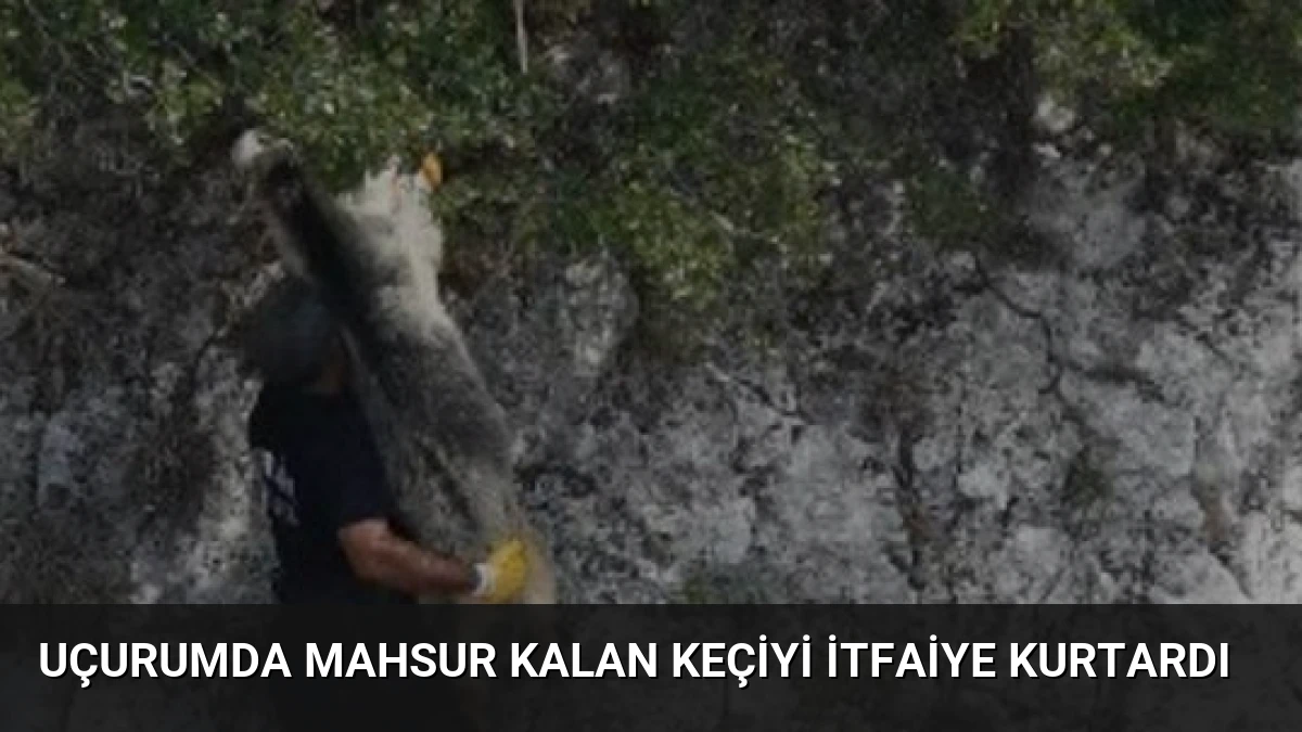 Uçurumda mahsur kalan keçiyi itfaiye kurtardı
