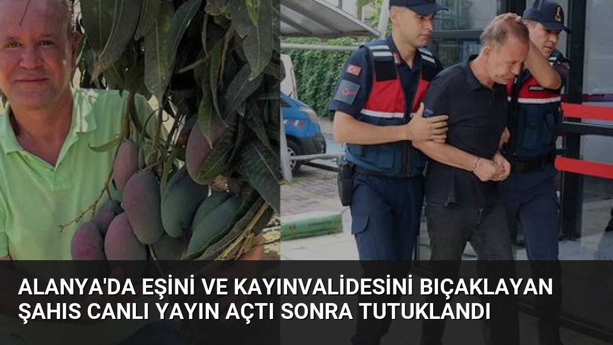 Alanya’da Eşini ve Kayınvalidesini Bıçaklayan Şahıs Canlı Yayın Açtı Sonra Tutuklandı