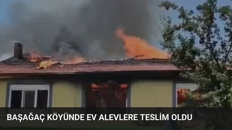 Başağaç köyünde ev alevlere teslim oldu