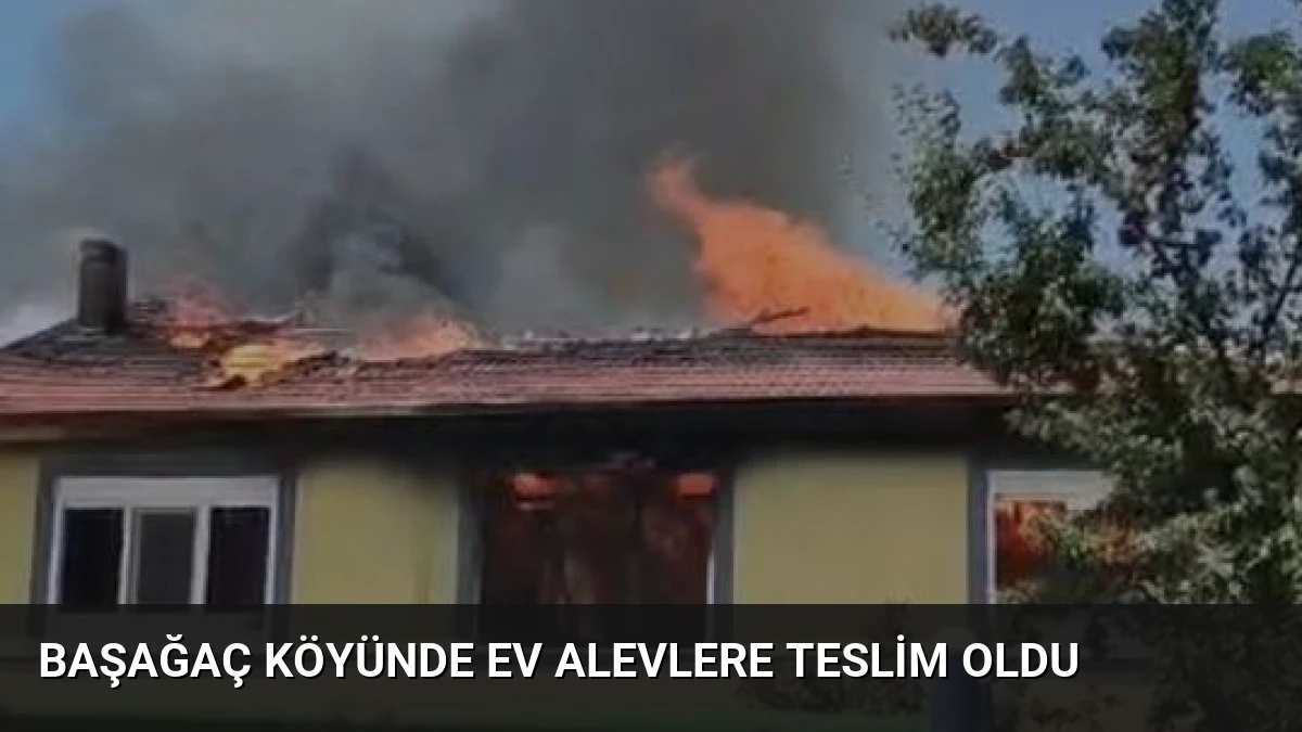 Başağaç köyünde ev alevlere teslim oldu