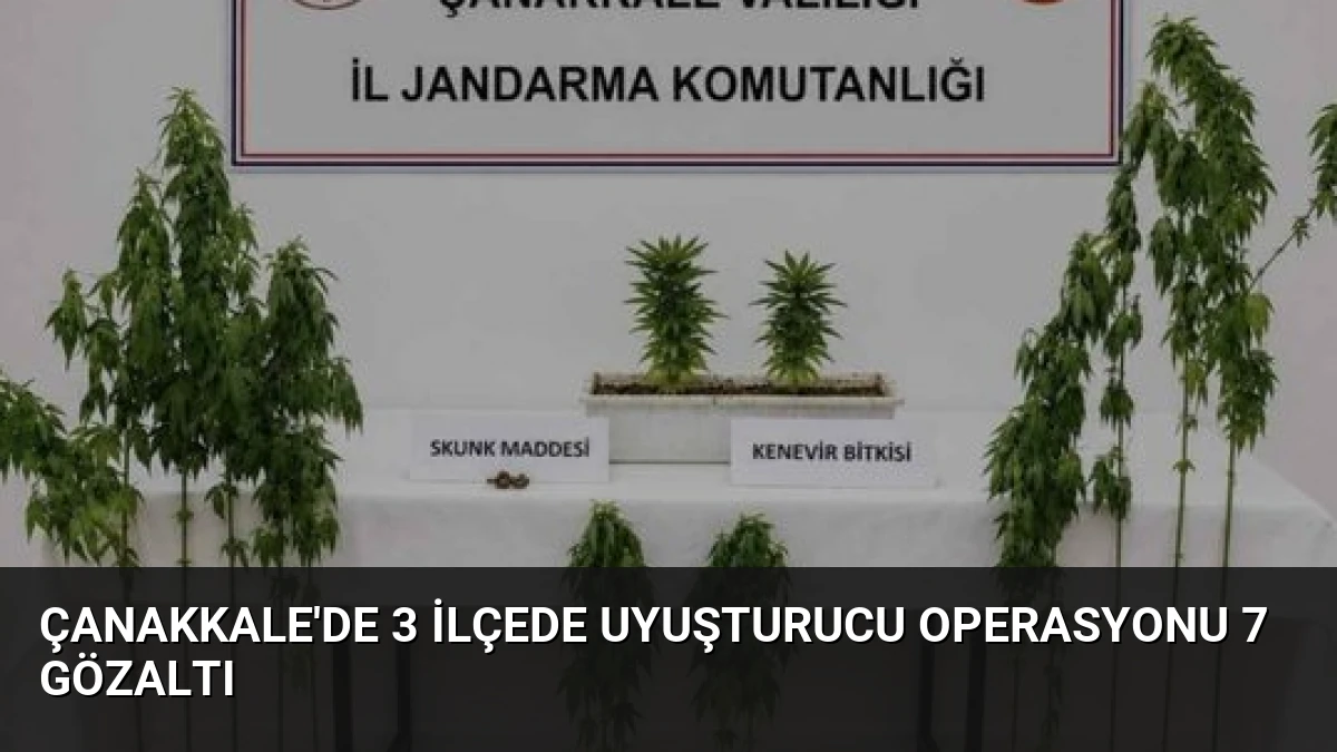 Çanakkale’de 3 İlçede Uyuşturucu Operasyonu 7 Gözaltı