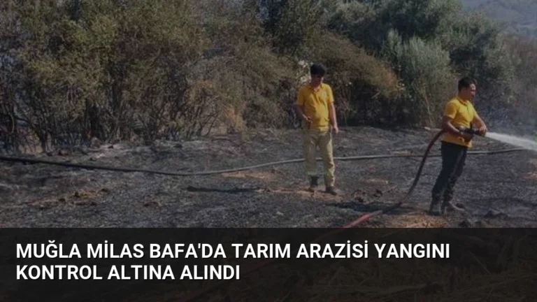 Muğla Milas Bafa’da Tarım Arazisi Yangını Kontrol Altına Alındı