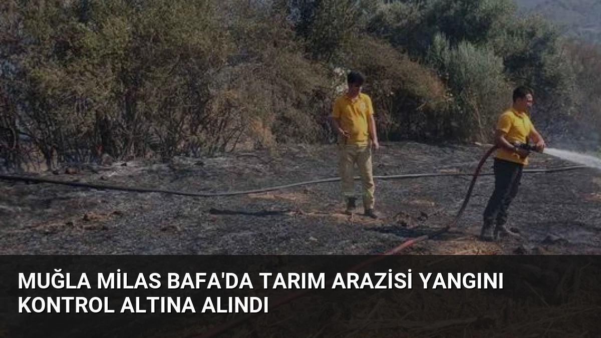 Muğla Milas Bafa’da Tarım Arazisi Yangını Kontrol Altına Alındı