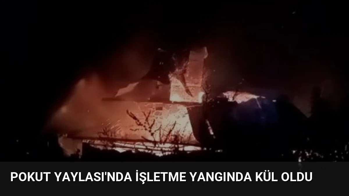Pokut Yaylası’nda İşletme Yangında Kül Oldu