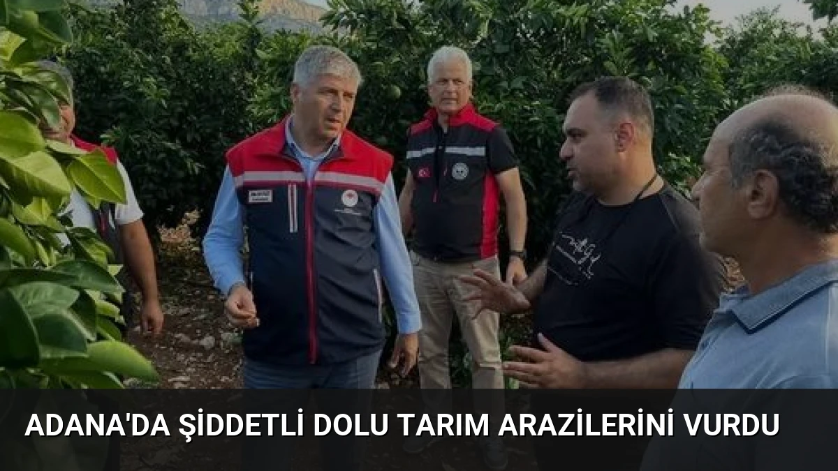Adana’da Şiddetli Dolu Tarım Arazilerini Vurdu