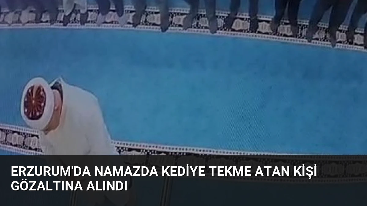 Erzurum’da Namazda Kediye Tekme Atan Kişi Gözaltına Alındı