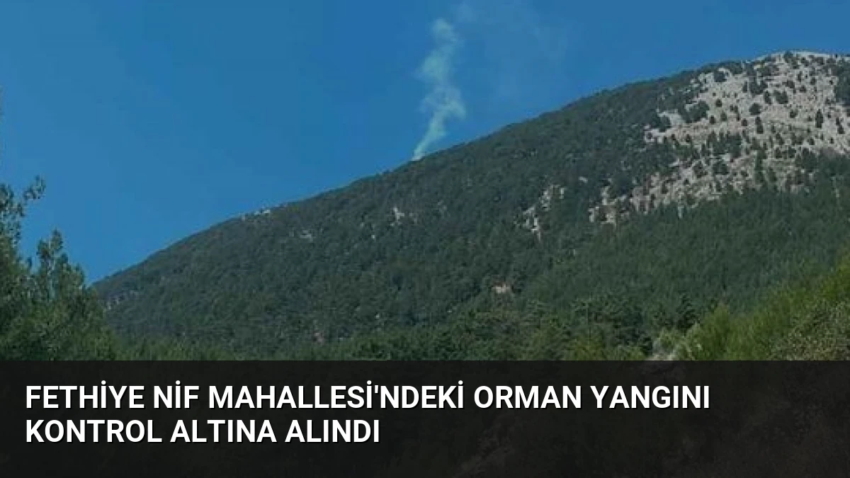 Fethiye Nif Mahallesi’ndeki Orman Yangını Kontrol Altına Alındı