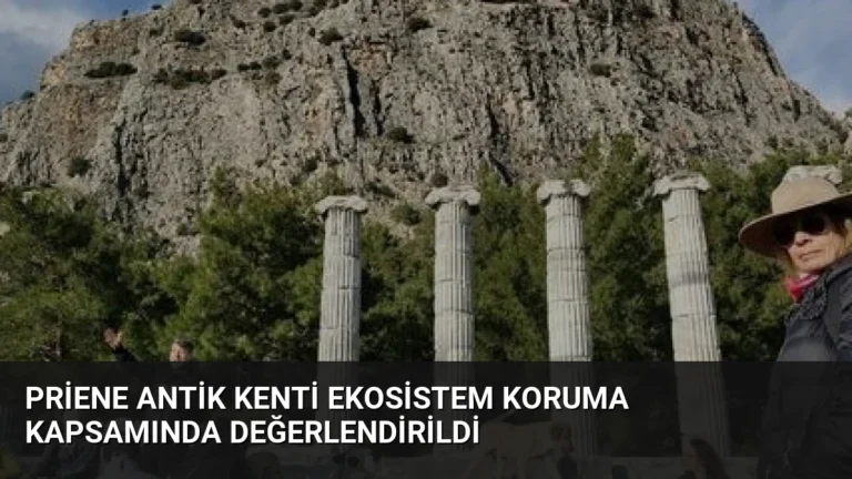 Priene Antik Kenti Ekosistem Koruma Kapsamında Değerlendirildi