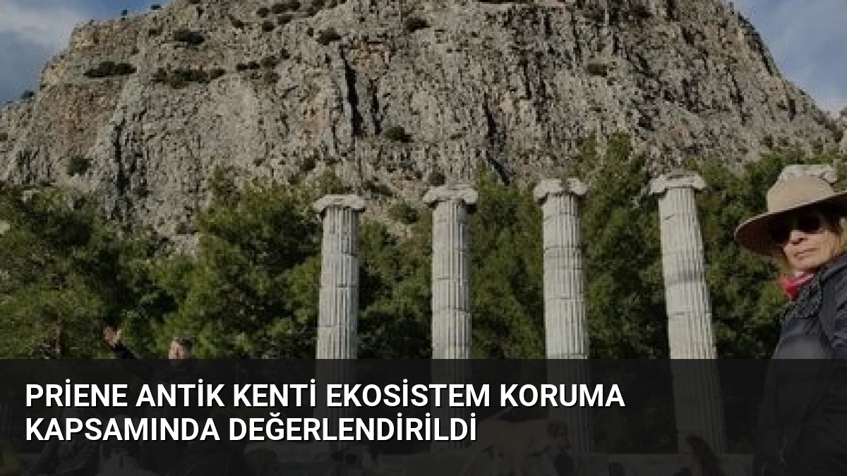 Priene Antik Kenti Ekosistem Koruma Kapsamında Değerlendirildi