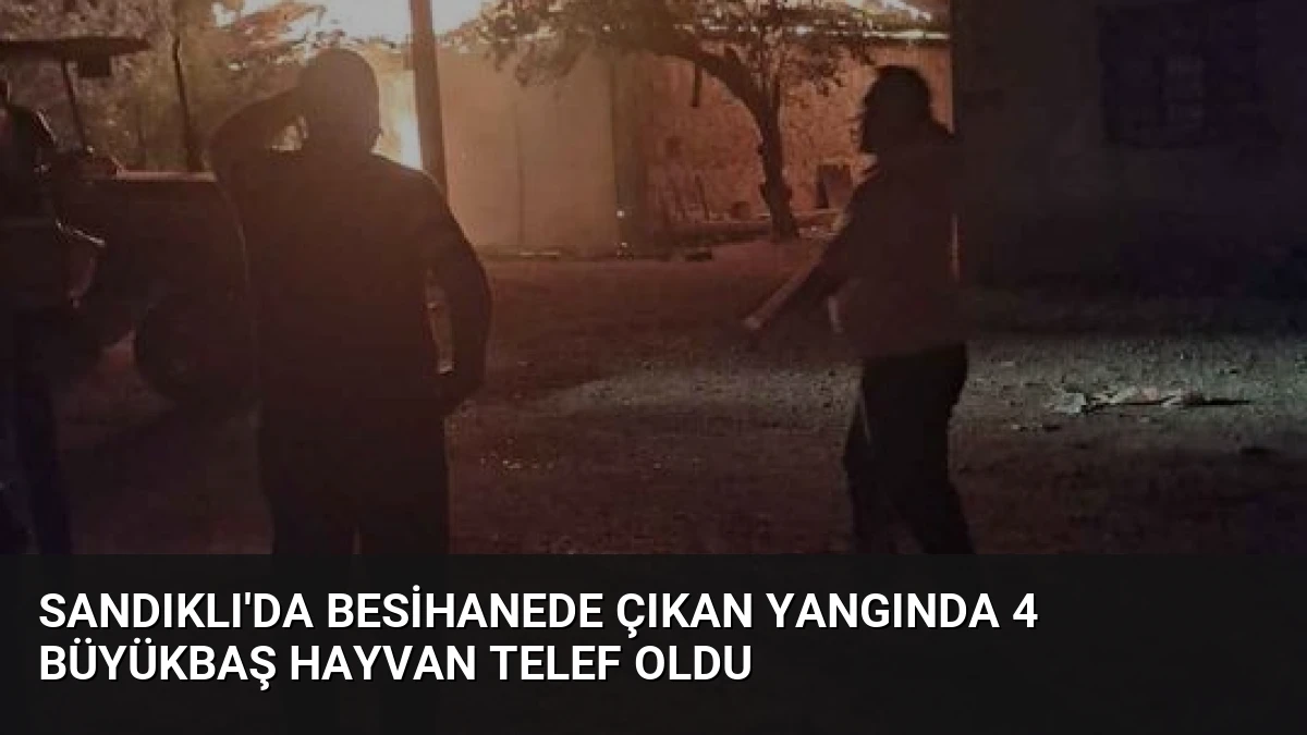 Sandıklı’da Besihanede Çıkan Yangında 4 Büyükbaş Hayvan Telef Oldu