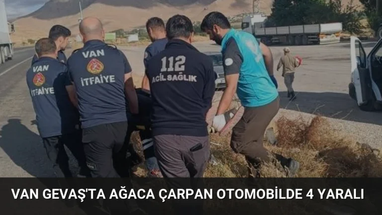Van Gevaş’ta Ağaca Çarpan Otomobilde 4 Yaralı