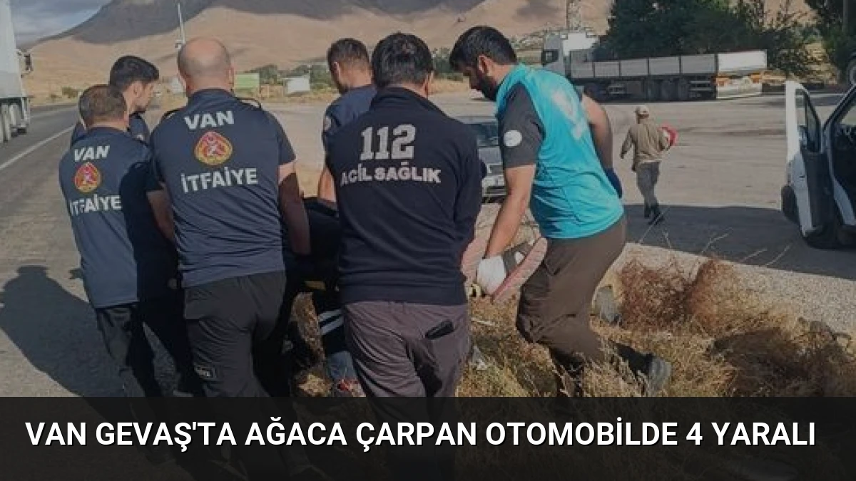 Van Gevaş’ta Ağaca Çarpan Otomobilde 4 Yaralı