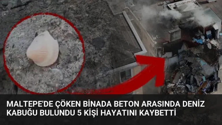 Maltepe’de Çöken Binada Beton Arasında Deniz Kabuğu Bulundu 5 Kişi Hayatını Kaybetti