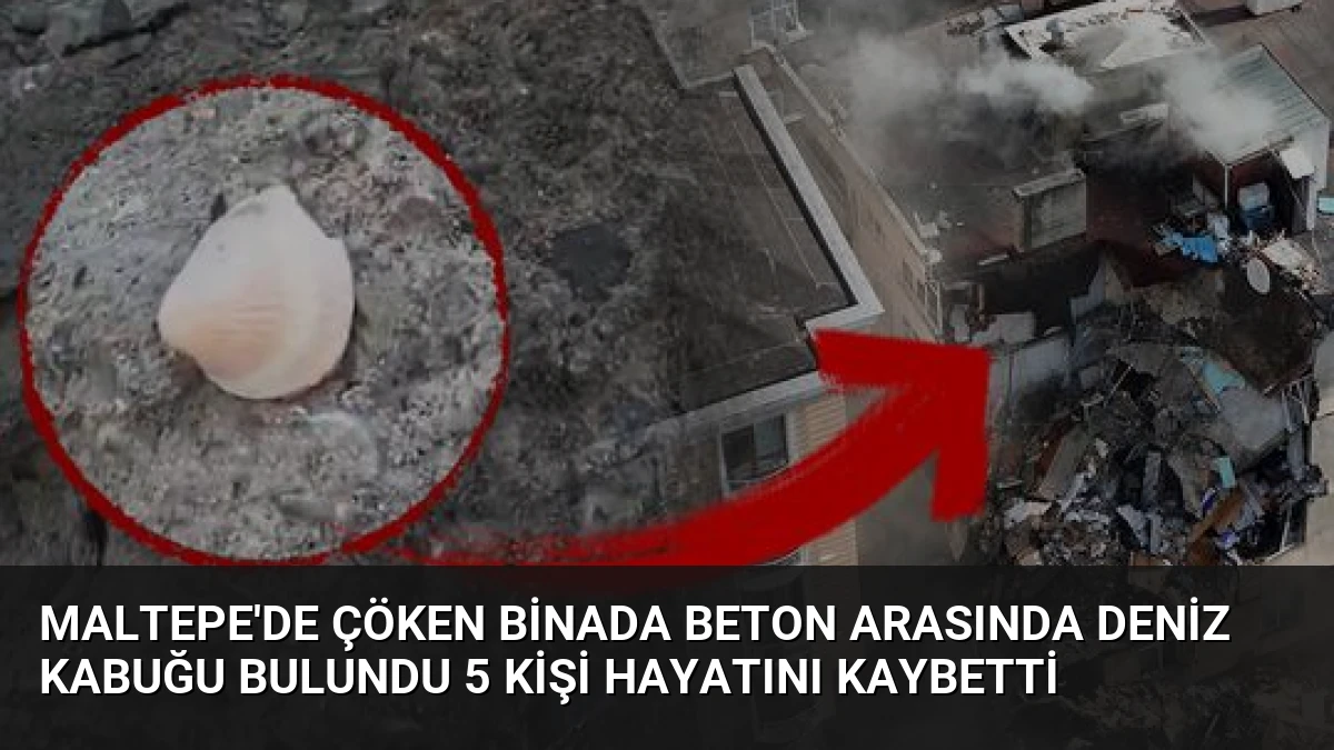 Maltepe’de Çöken Binada Beton Arasında Deniz Kabuğu Bulundu 5 Kişi Hayatını Kaybetti