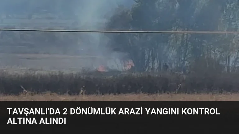 Tavşanlı’da 2 Dönümlük Arazi Yangını Kontrol Altına Alındı