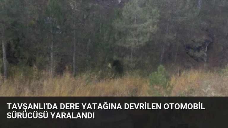 Tavşanlı’da Dere Yatağına Devrilen Otomobil Sürücüsü Yaralandı