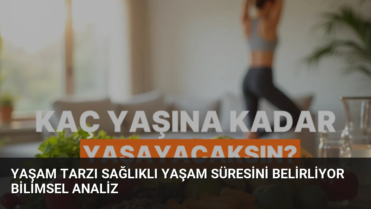 Yaşam Tarzı Sağlıklı Yaşam Süresini Belirliyor Bilimsel Analiz